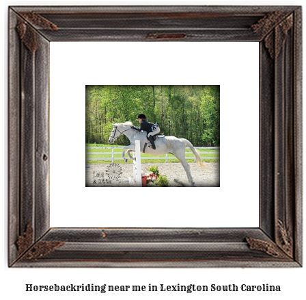 horseback riding near me in Lexington, South Carolina